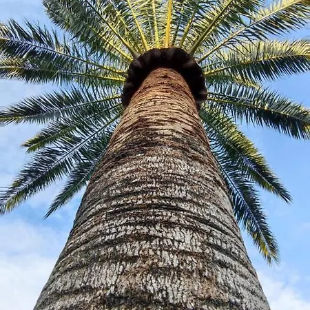 Finca Verde