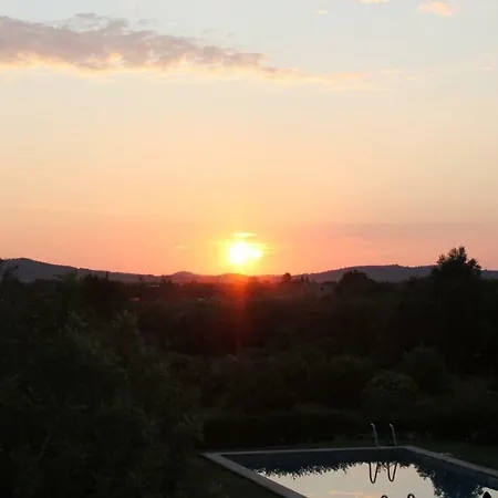 Finca Verde *