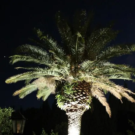 Finca Verde * Llucmajor (Mallorca)